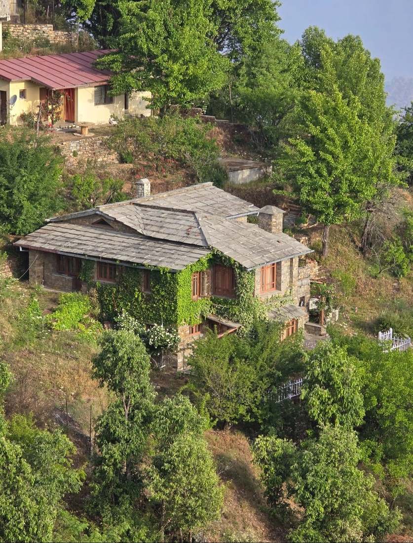 Stone-and-wood Himtattva cottage covered in green ivy on the hillside